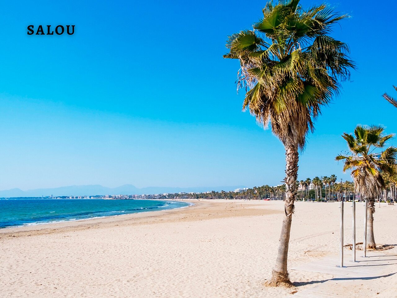 Fine sandy beach and palm trees in Salou, a place to visit near the campsite.