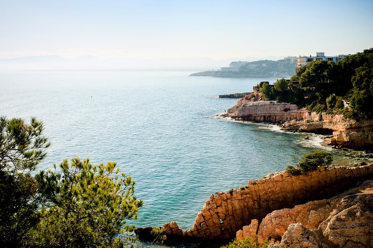 Panoramic Mediterranean view, rocky coast, pine trees at CAPFUN Alba CREIXELL (43).