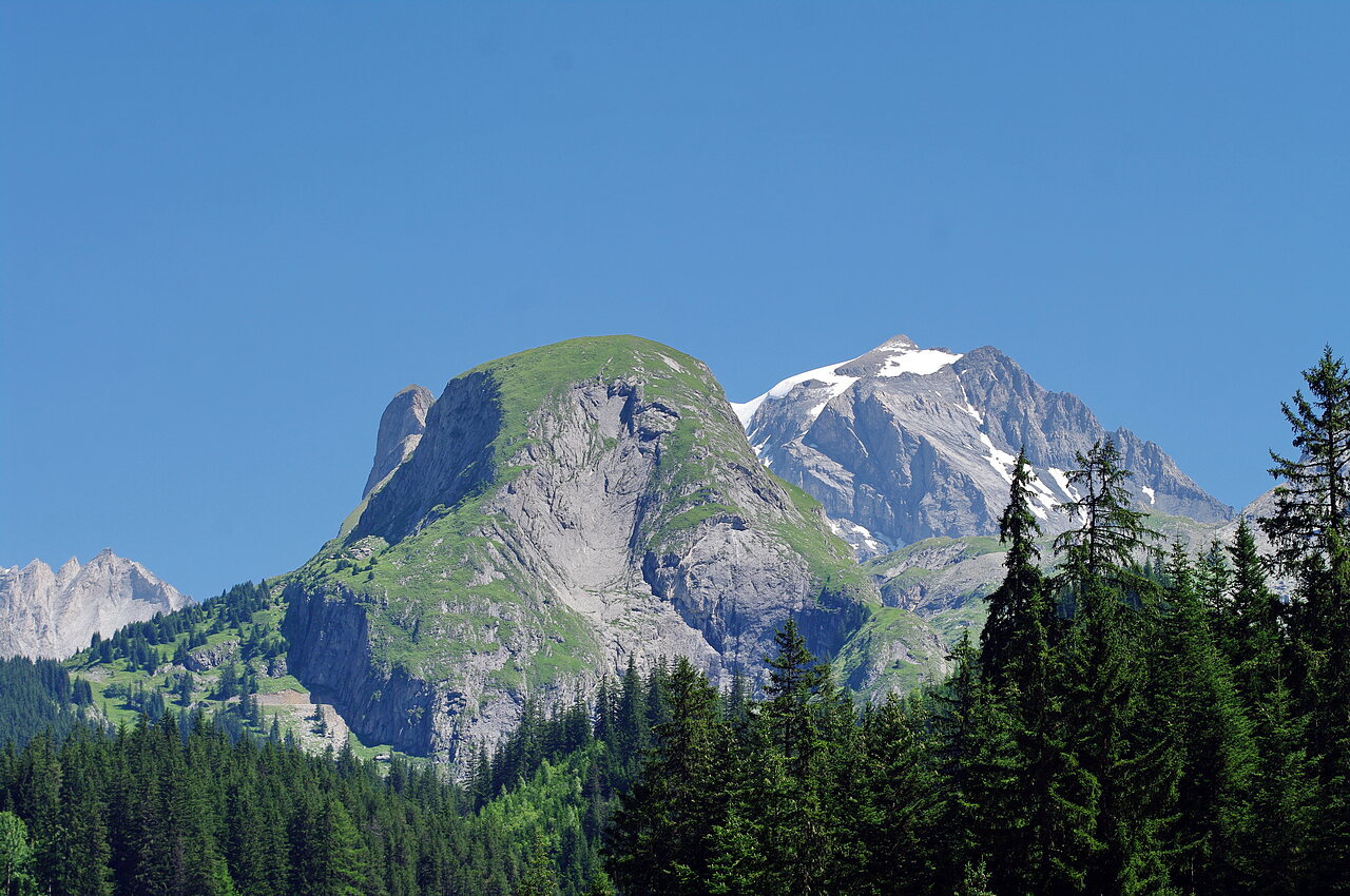 Alpine landscape, forest at CLICOCHIC Alpes Lodges campsite in Pralognan la Vanoise (73).