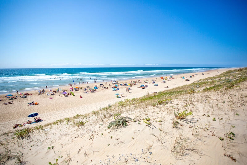 Fine sandy beach, swimmers and ocean at LIBRANOO Naturiste Arnaoutchot campsite, Landes.