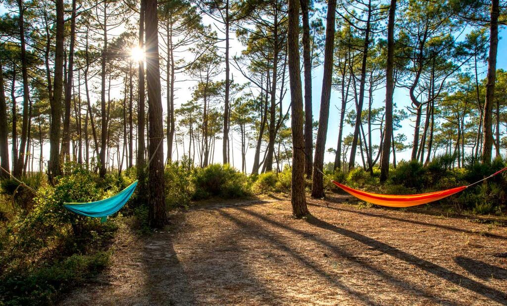 Naturiste Arnaoutchot, Holiday Park Aquitaine - 33