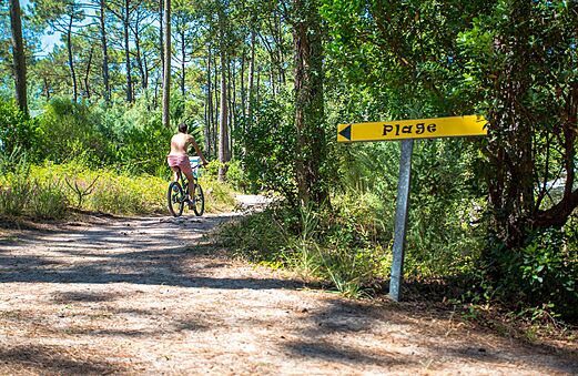 Cyclist on forest path towards the beach at LIBRANOO Naturiste Arnaoutchot campsite.