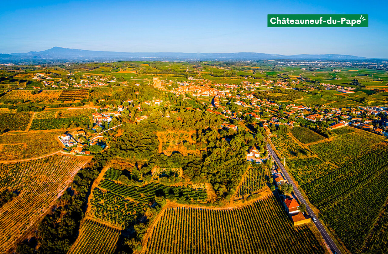 Ch�teauneuf-du-Pape village and its famous vineyards, aerial view in Provence.
