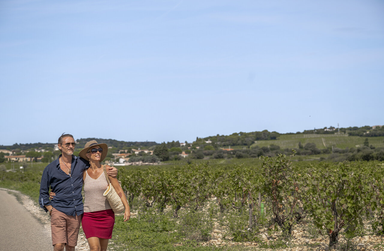 Couple walking through vineyards, sunny landscape at CLICOCHIC Art de Vivre campsite in Ch�teauneuf du Pape.