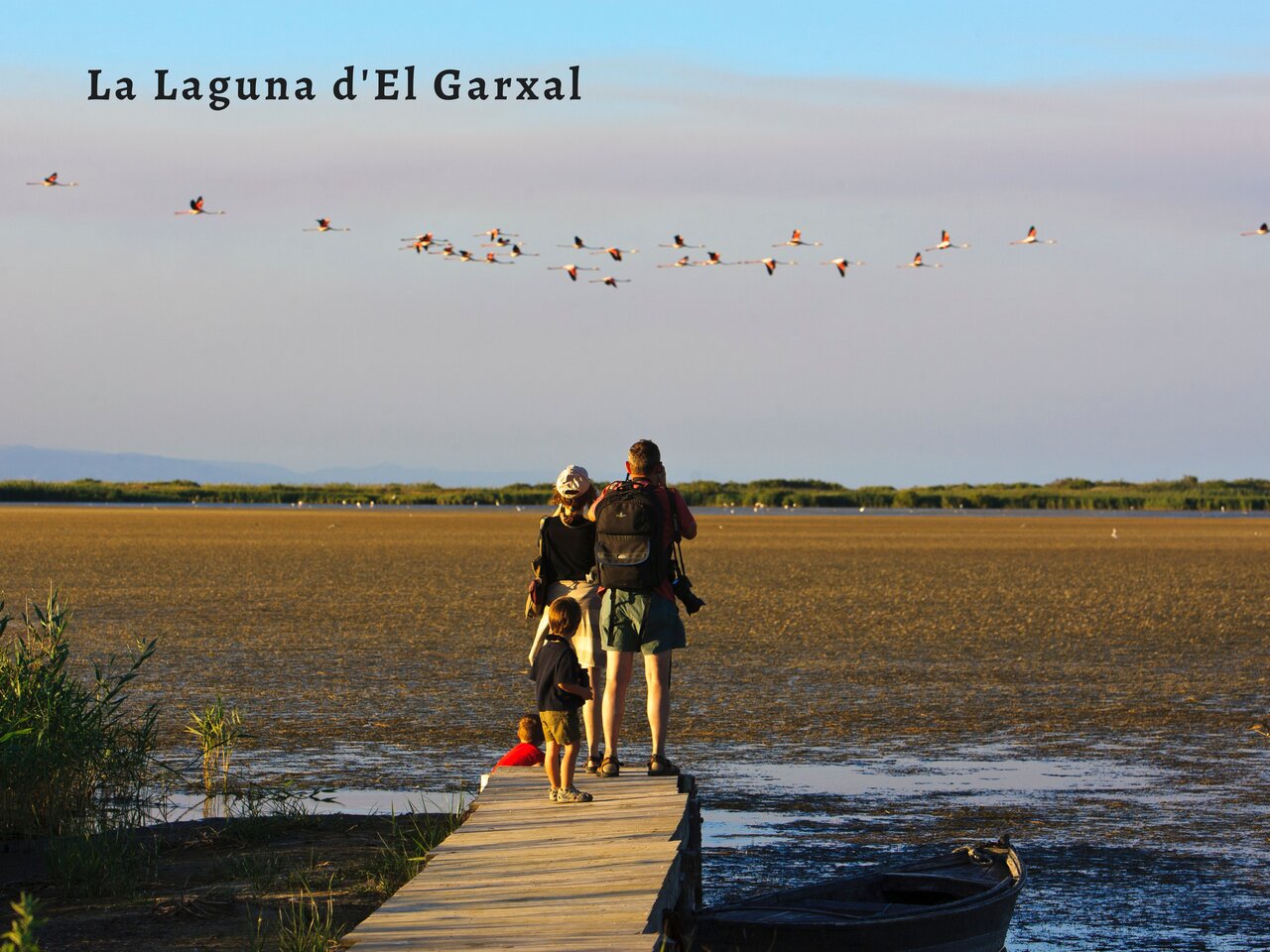 Family watching flamingos at La Laguna d'El Garxal, near Deltebre, Tarragona.