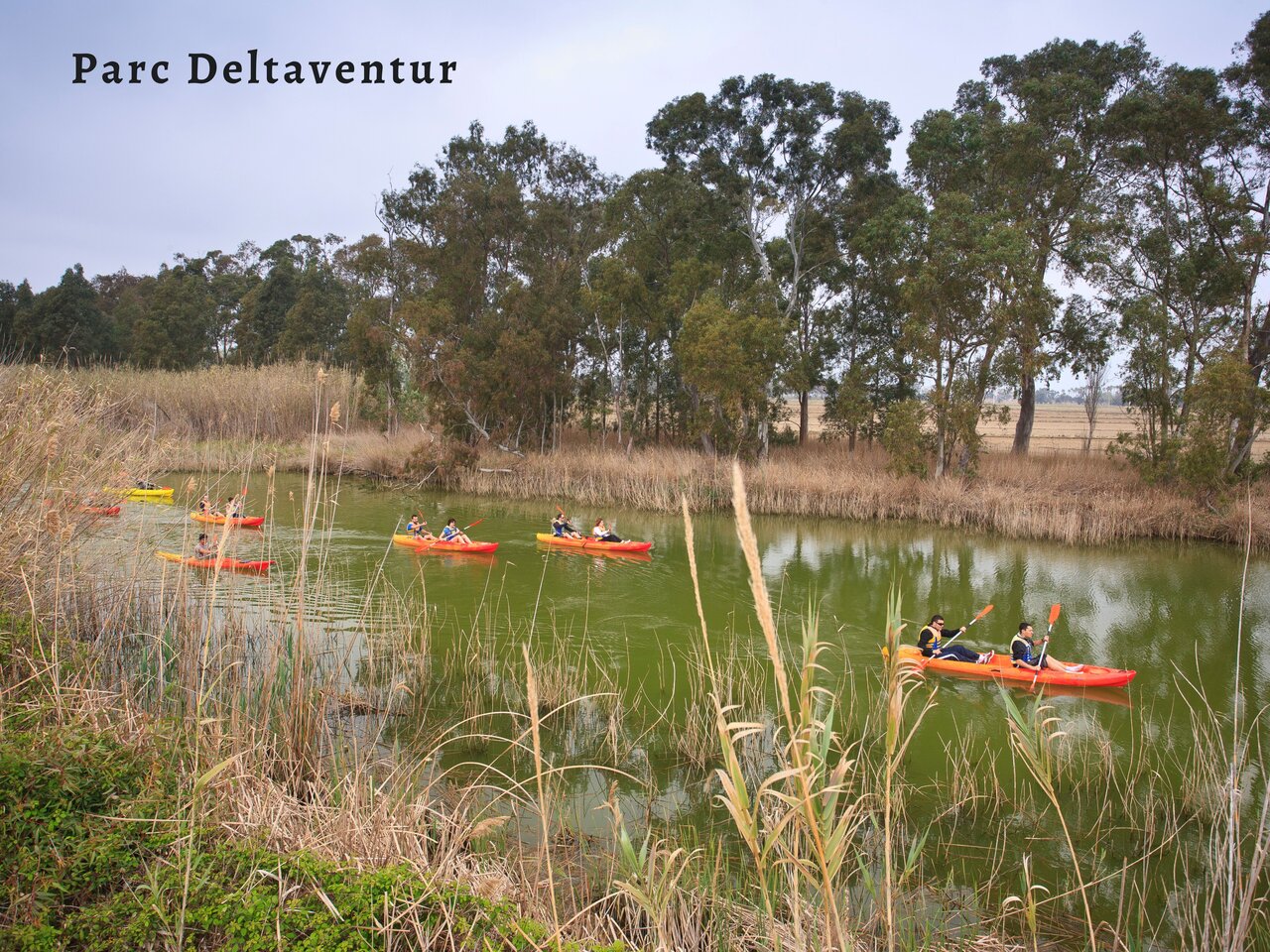 Kayaking on the canal at Parc Deltaventur, activity near Deltebre, Tarragona.