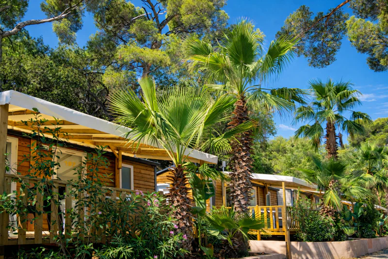 Wooden mobile homes, palm trees, terraces at CLICOCHIC Baie de Cavalaire campsite.