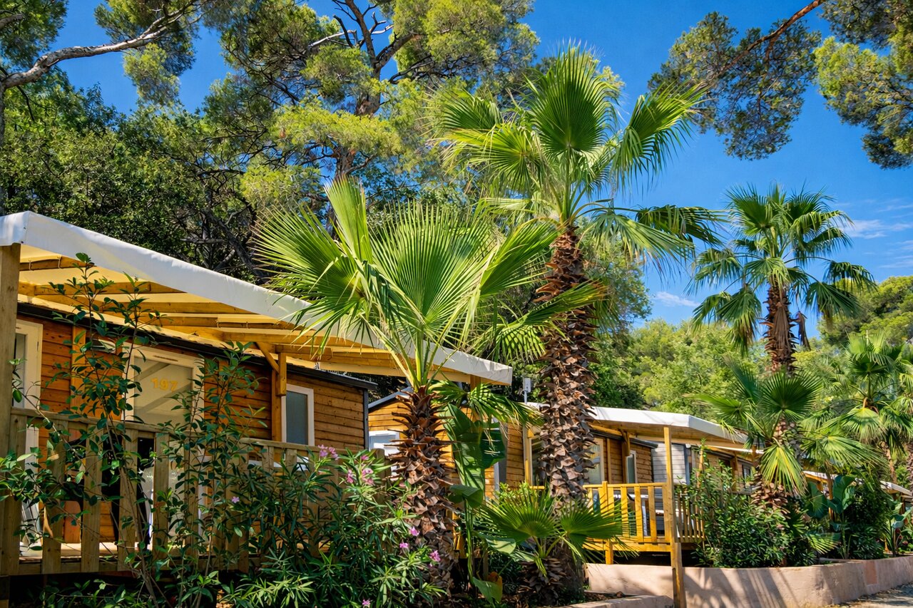 Wooden mobile homes, palm trees, terraces at CLICOCHIC Baie de Cavalaire campsite.