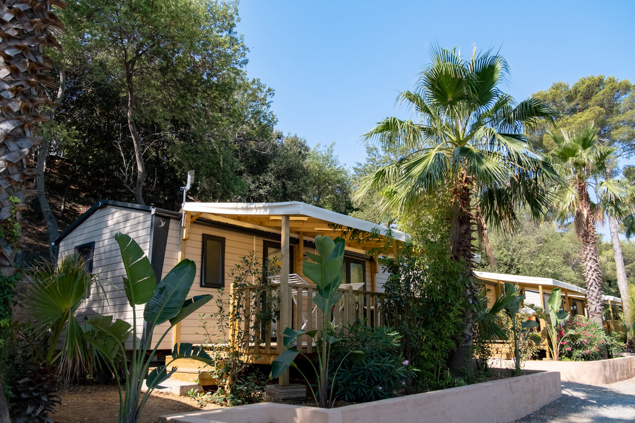 Modern mobile homes with terrace, palm trees at CLICOCHIC Baie de Cavalaire campsite (83).