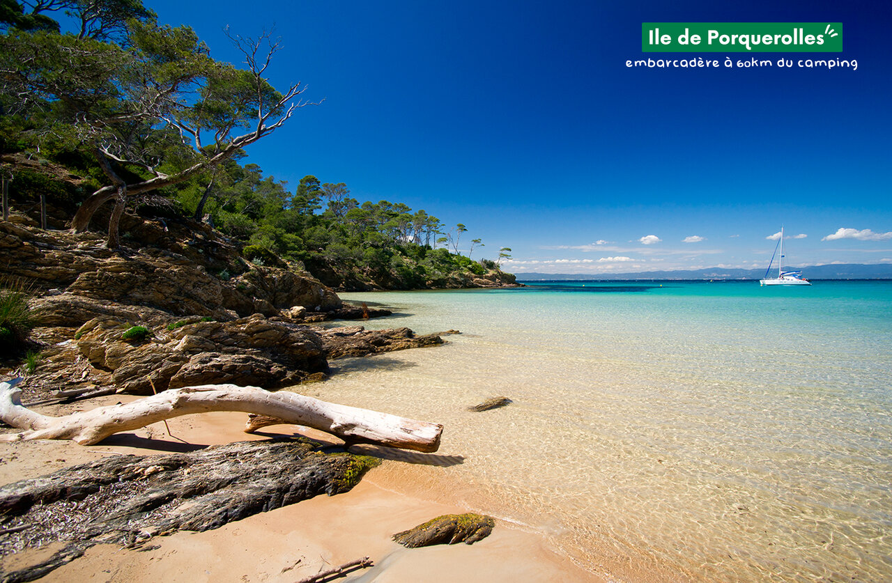 Idyllic beach on Porquerolles island, Var, crystal-clear waters, golden sand.