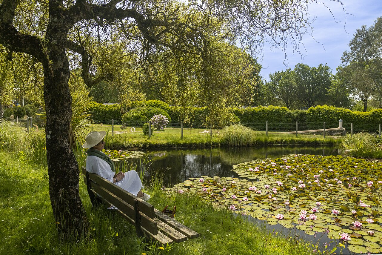 Flowery pond, water lilies, shaded bench at CLICOCHIC campsite in Poullan-sur-Mer.