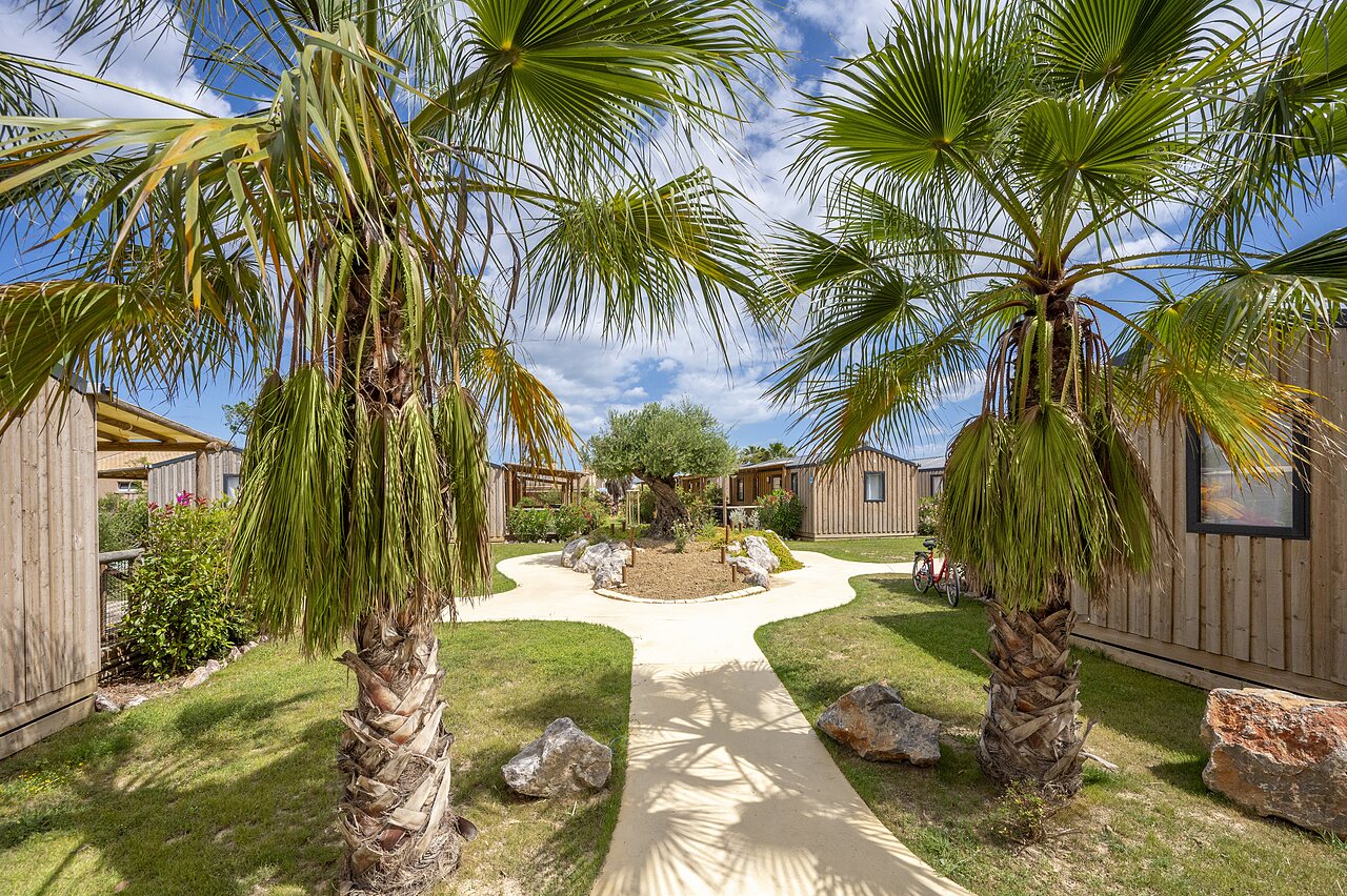 Modern mobile homes and landscaped path with palm trees at CAPFUN Barbacane campsite in NARBONNE (11).