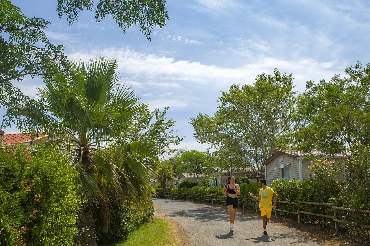 Jogging on green path with mobile homes at CAPFUN Barbacane campsite in NARBONNE (11).