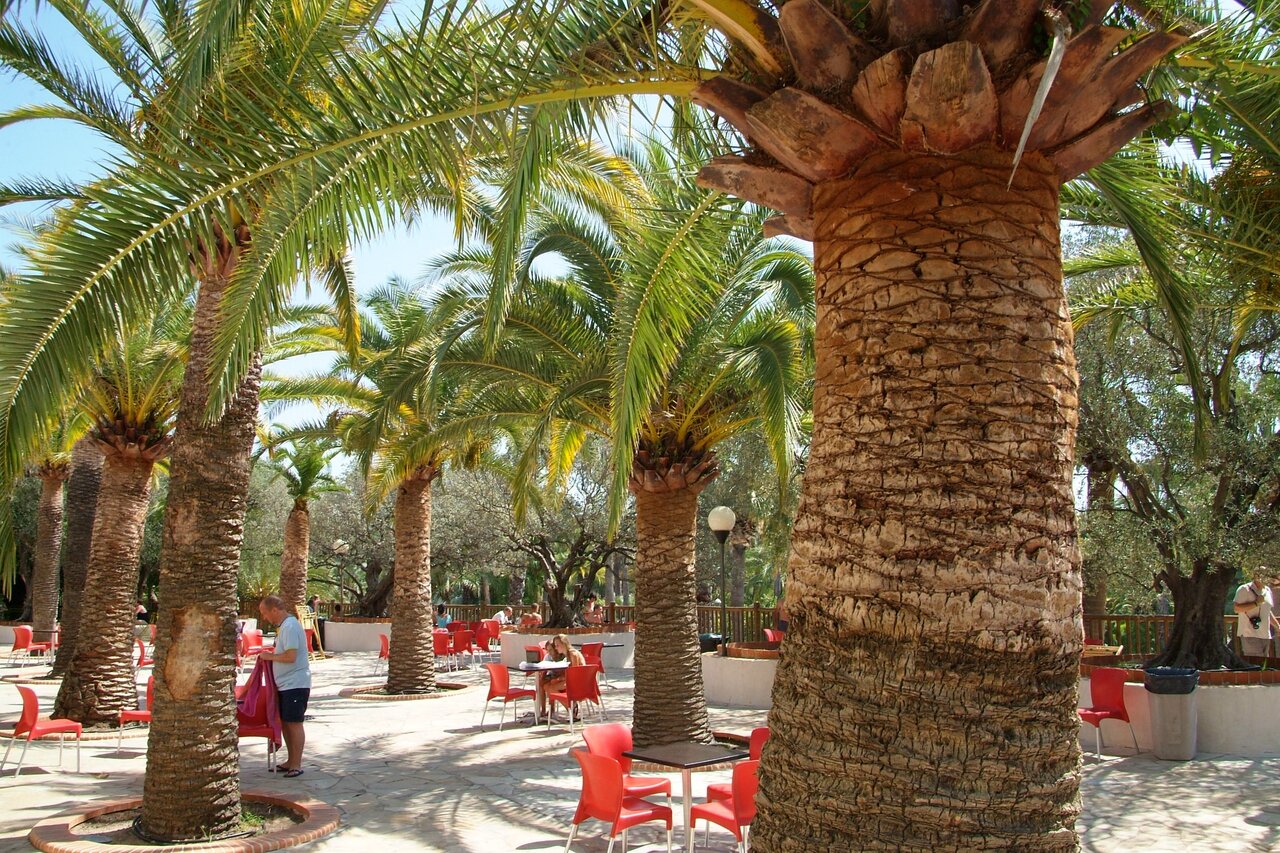 Shaded restaurant terrace with palm trees at CAPFUN La Baume - La Palmeraie campsite in Fr�jus.