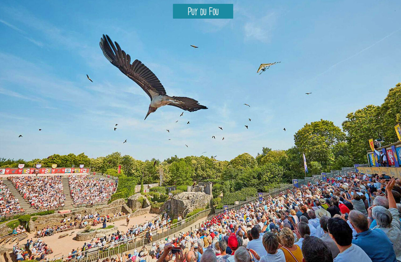 Birds of prey show at the historical Puy du Fou park in Vend�e, France.
