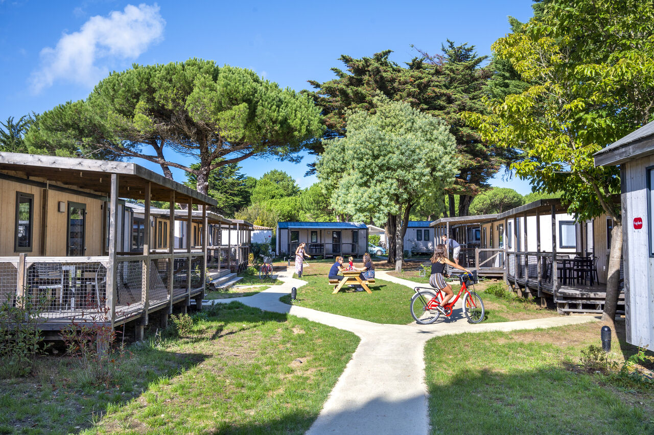 Mobile homes, paths and bicycle at CAPFUN Bonne Etoile campsite in BOIS PLAGE EN RE (17).