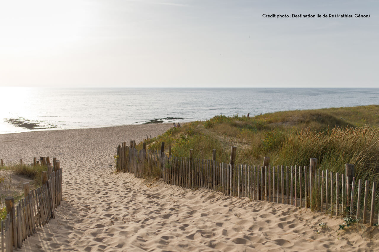 Sandy beach, dunes and ocean, at CAPFUN Bonne Etoile campsite in BOIS PLAGE EN RE (17).