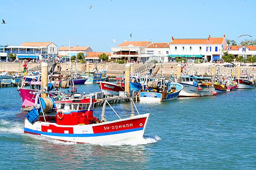 Lively fishing port with colorful boats and traditional seaside houses.