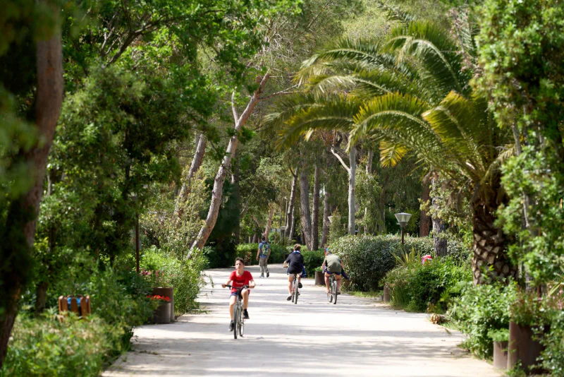 Cyclists on wooded path at CAPFUN Campo dei Fiori Rosignano Marittimo.