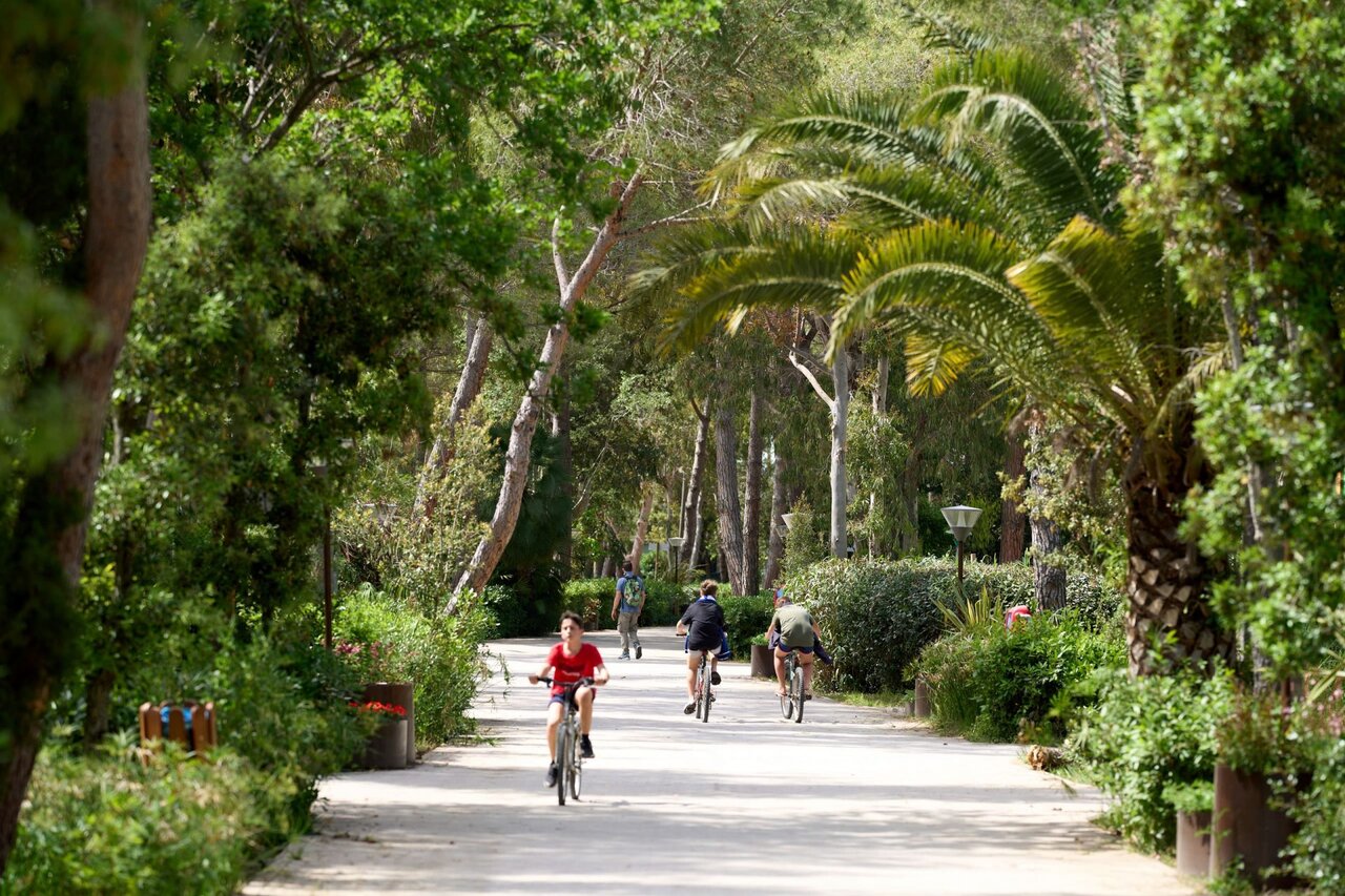 Cyclists on wooded path at CAPFUN Campo dei Fiori Rosignano Marittimo.
