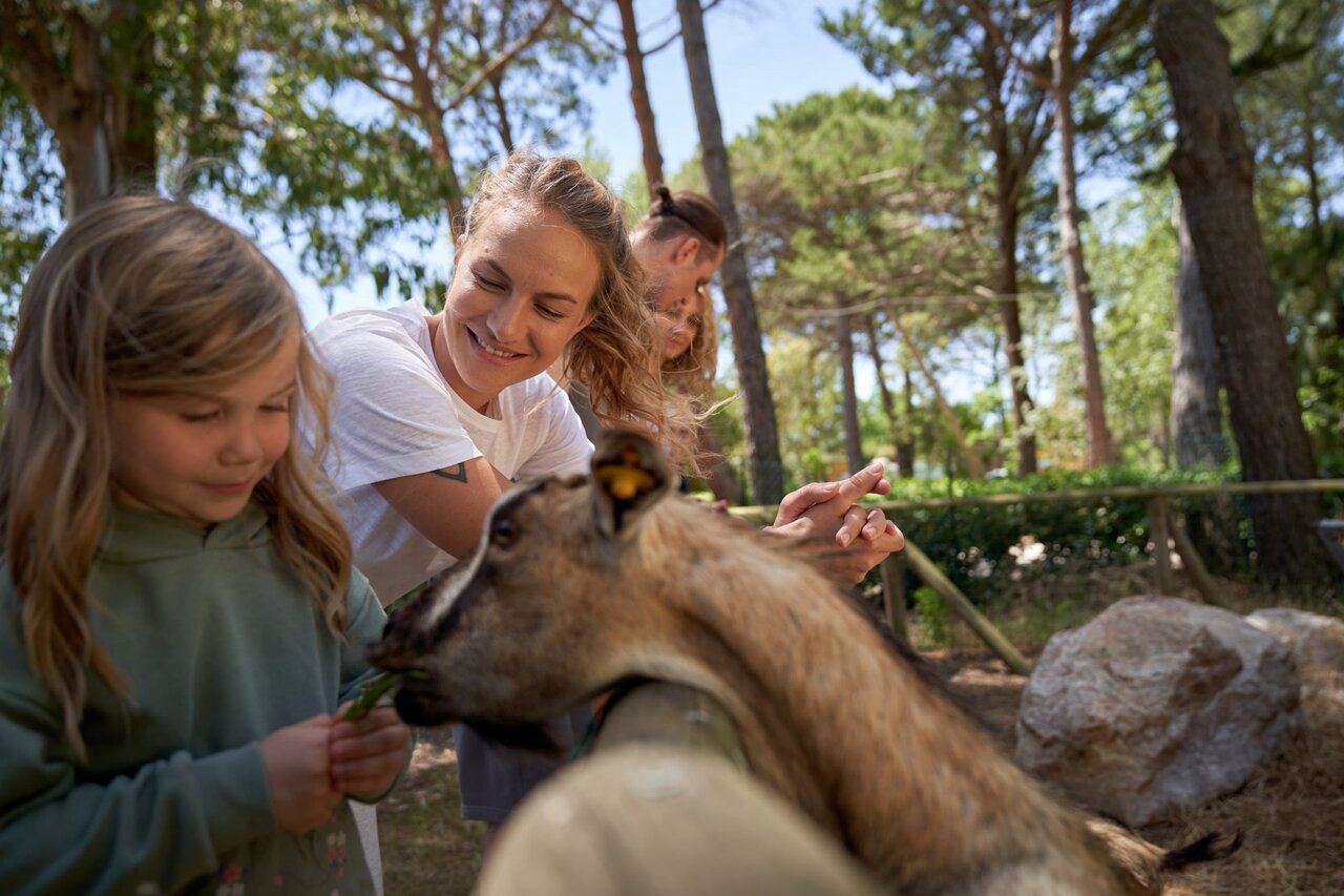 Girl and woman feeding goat, family activity at CAPFUN Campo dei Fiori campsite.