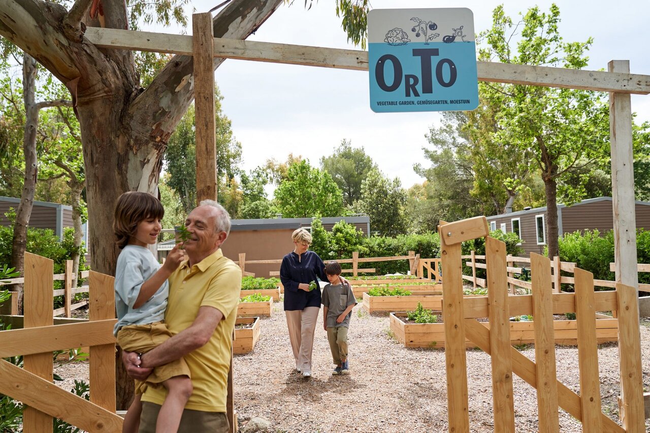 Family enjoying the vegetable garden at CAPFUN Campo dei Fiori campsite in Rosignano Marittimo (57).