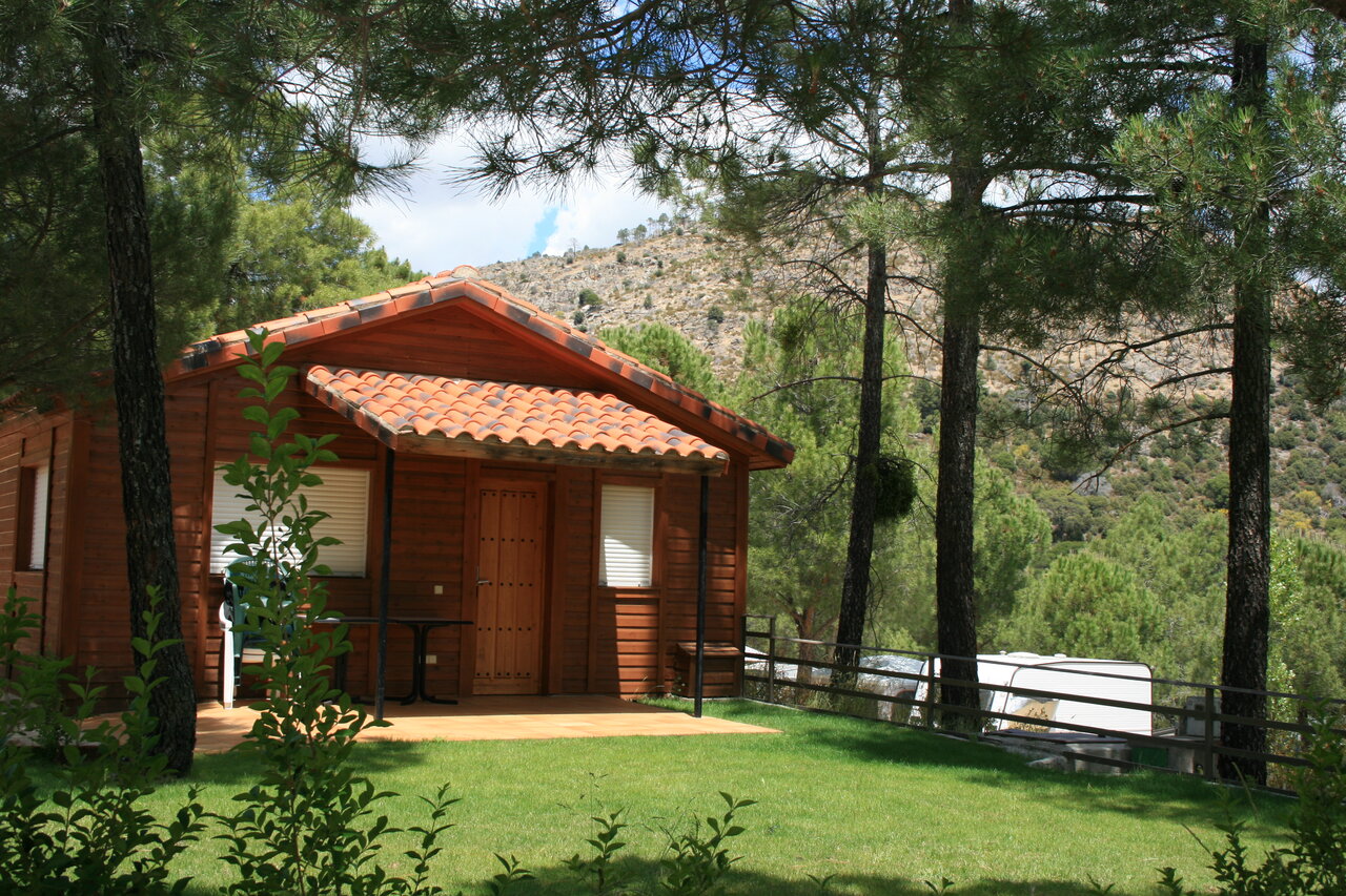 Wooden chalet, terrace, lawn, pine trees, camping CAPFUN El Canto La Gallina Valdemaqueda (Madrid).