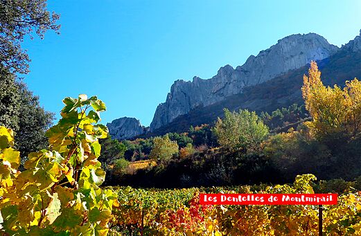 Les Dentelles de Montmirail, colorful vineyards in Provence near Vaison-la-Romaine.