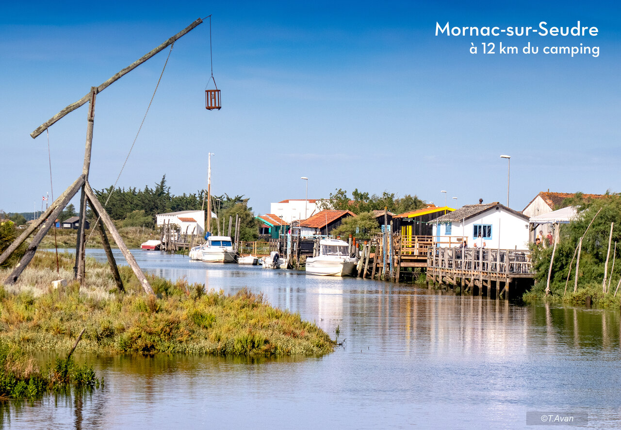 Mornac-sur-Seudre village, typical oyster port in Charente-Maritime.