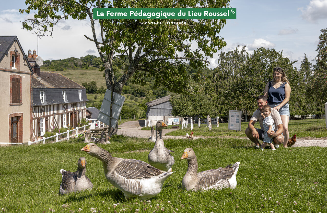 Family exploring Lieu Roussel Educational Farm, an attraction near the campsite.