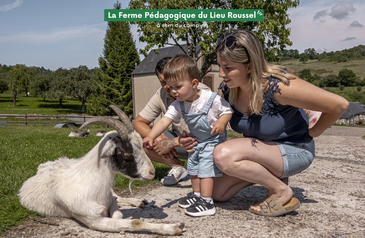 Family petting goat at La Ferme P�dagogique Lieu Roussel, Normandy.