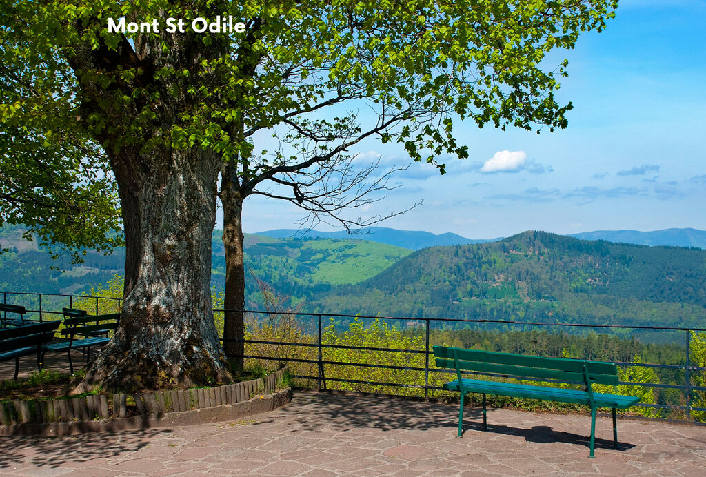 Au Clair Ruisseau, Holiday Park Alsace - 18