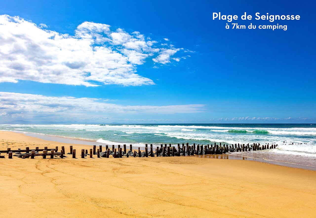 Seignosse beach, fine sand, Atlantic Ocean and wooden breakwaters, Landes.