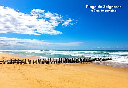 Seignosse beach, fine sand and Atlantic Ocean, place to visit near the campsite.