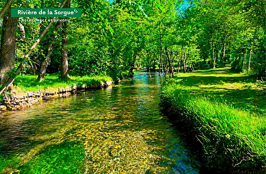 Sorgue River, clear water and lush greenery at CLICOCHIC Coutelière campsite in Lagnes (84).