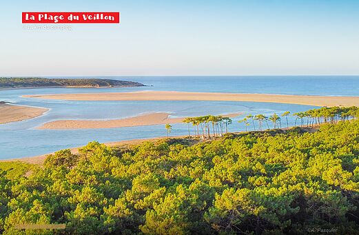 Veillon Beach, estuary and pine forest near Jard sur Mer (85).