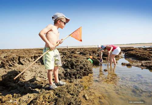 Children shore fishing on beach, camping CAPFUN Dauphins Bleus in GIVRAND (85).