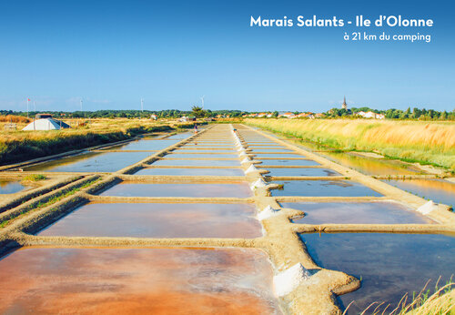 Salt marshes of Île d'Olonne, Vendée, a place to visit.