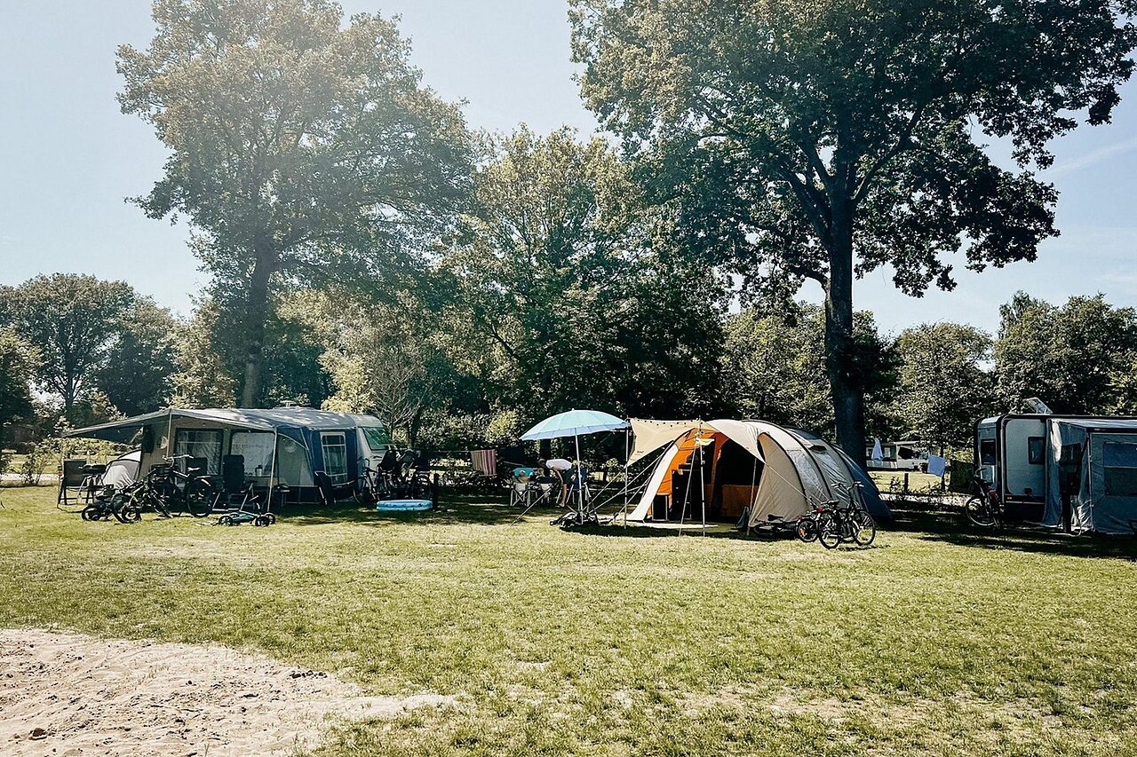 Grassy camping pitches with tents and caravans at CAPFUN De Belten, Rheeze.