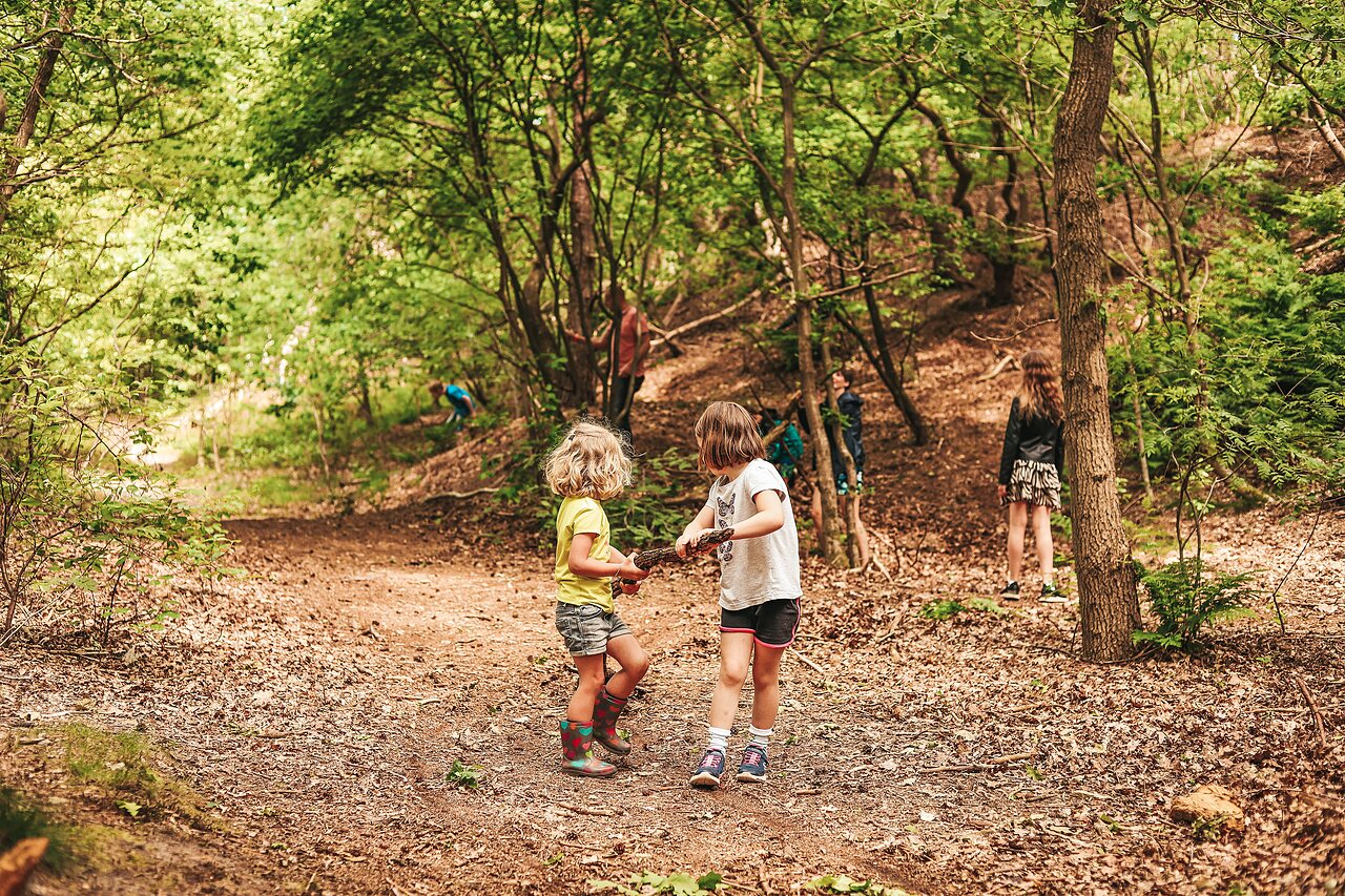 Children playing with sticks in the forest at CAPFUN De Belten campsite in Rheeze.