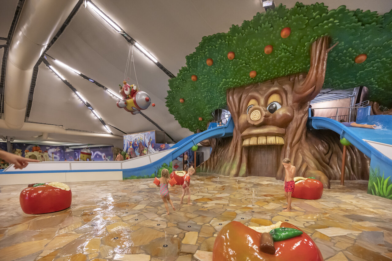 Fun indoor pool, tree slide and water games at CAPFUN De Bongerd.