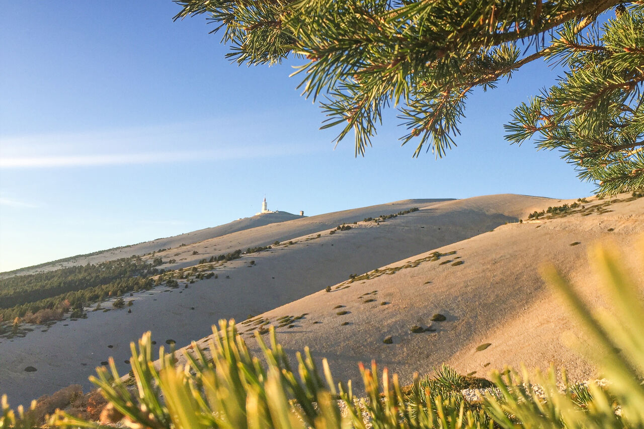 Mont Ventoux summit, observatory, panoramic view at LIBRANOO Naturiste Belezy, B�doin (84).