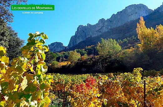 Les Dentelles de Montmirail, colorful vineyards in autumn, mountain range in Provence.