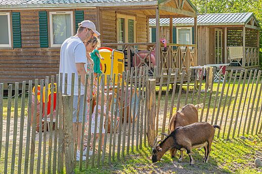 Mini-farm with goats and family at CAPFUN Dune Fleurie campsite in Quend Plage.