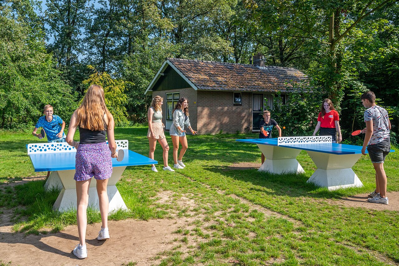 Young people playing outdoor table tennis at CAPFUN Eibernest campsite, Eibergen.