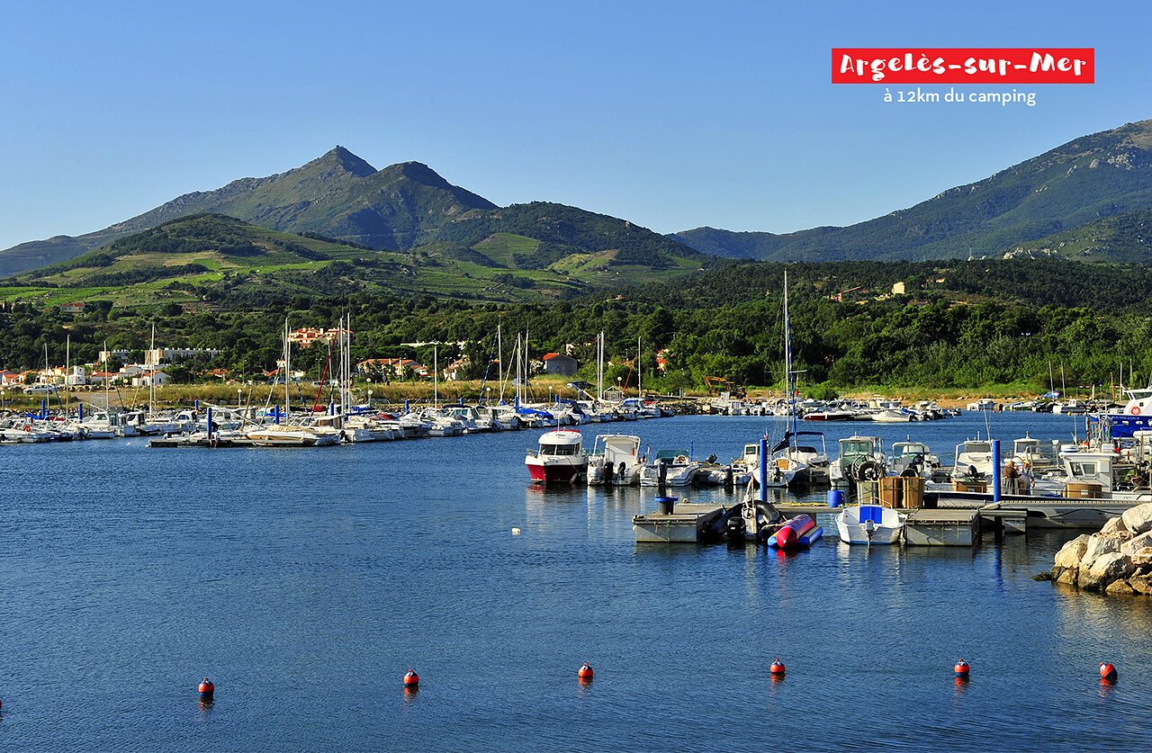 Argel�s-sur-Mer marina with boats and mountains in the Pyr�n�es-Orientales.