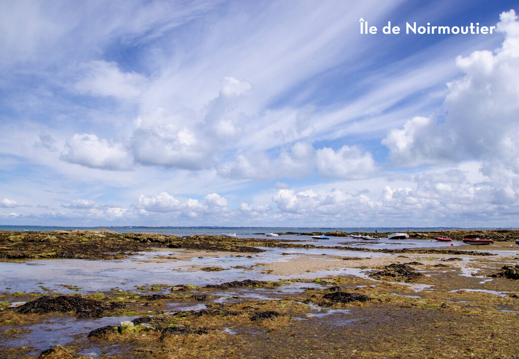 Les Forges, Holiday Park Loire Valley - 17