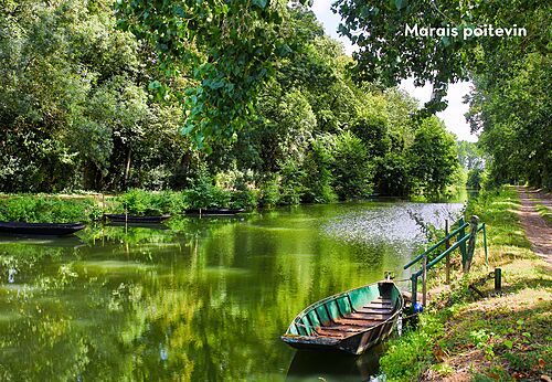 Marais Poitevin, green canal with traditional boats, lush nature in Vendée.