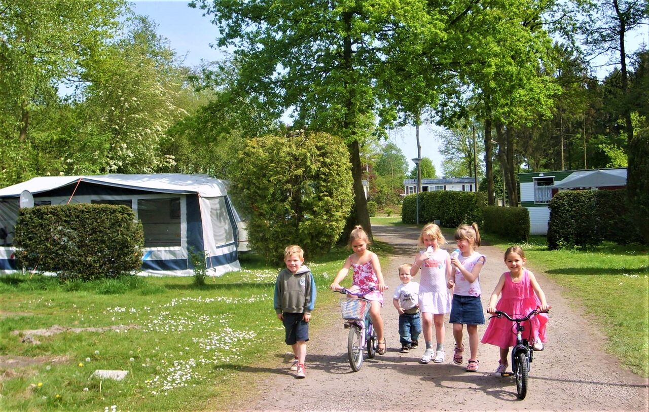 Children cycling and walking on camping path, CAPFUN Fort Bedmar Sint-Gillis-Waas.