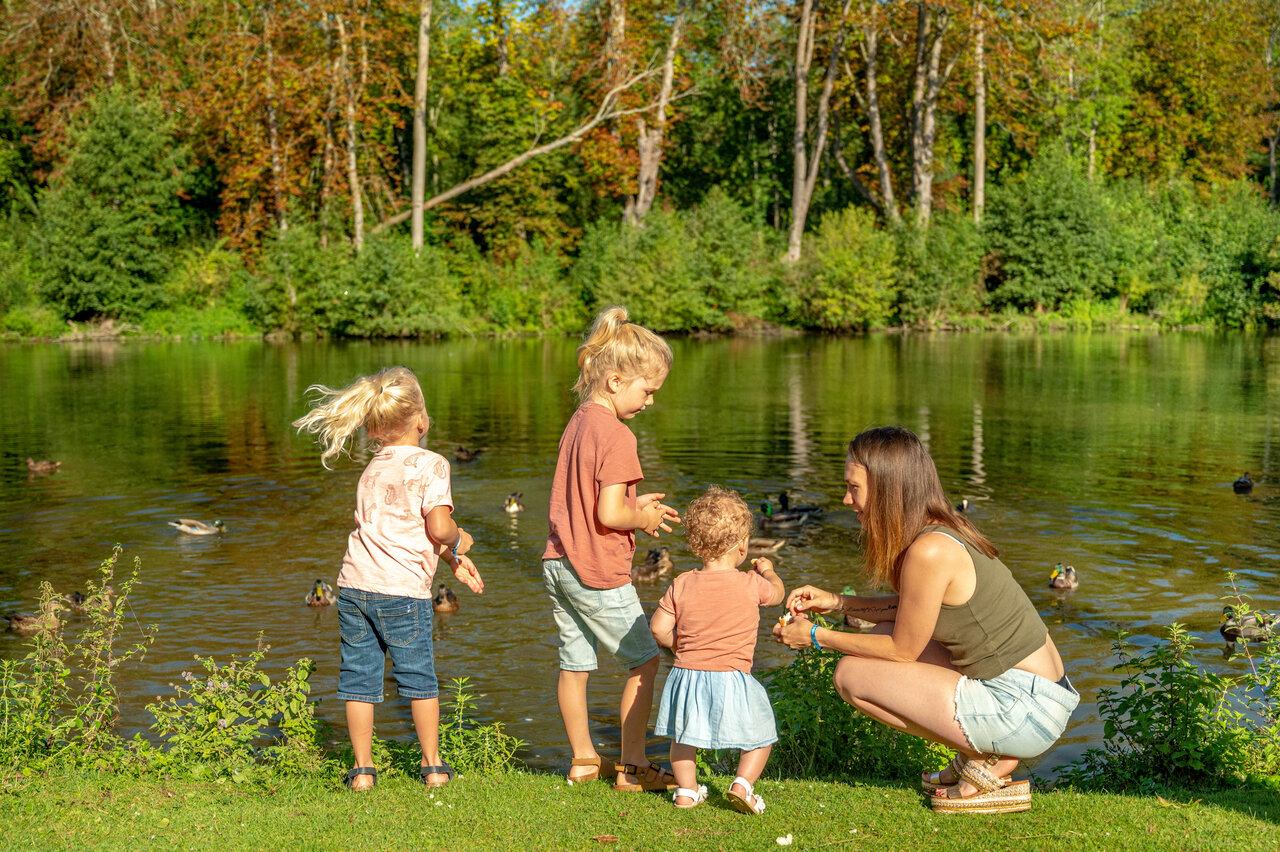 Family feeding ducks by a lake, at CAPFUN Fredland campsite in Tournan en Brie (77).